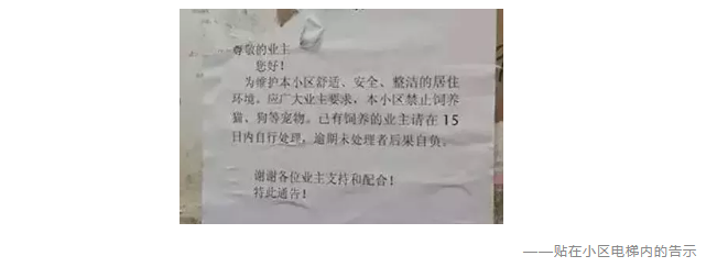 為什么不買(mǎi)保險就不讓養狗？