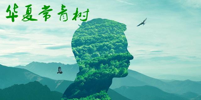 華夏長(cháng)青樹(shù)怎么樣 優(yōu)劣勢有哪些？